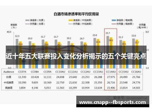 近十年五大联赛投入变化分析揭示的五个关键亮点